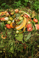 Zero waste, composting, separate waste collection concept. Compost pile heap close up. Bio waste,...