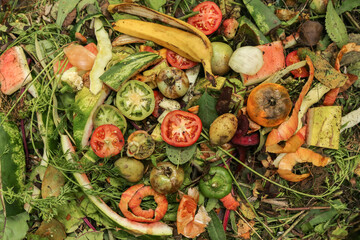 Zero waste, composting, separate waste collection concept. Compost pile heap close up top view. Bio...
