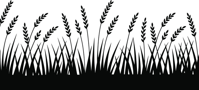 Silhouette of field with grass and wheat or barley crops in black