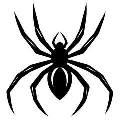 spider on a white background