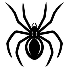 spider on a white background
