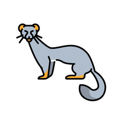 Ermine color line icon for digital and print projects. Arctic animals.