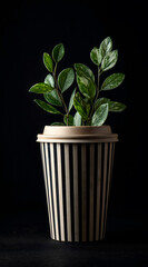 Black Striped Cup with Plant Against Black Background
