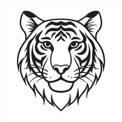 South China Tiger – Rare Stripes of Asia’s Forgotten Forests