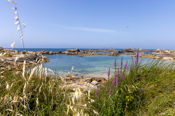 A beach with a rocky shoreline and a small path leading to the water. The water is calm and blue