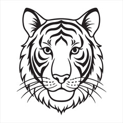 Wild Sumatran Tiger – Elusive Jungle King of Southeast Asia