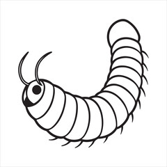 Unique Soft-Bodied Velvet Worm in Natural Habitat