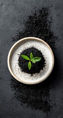 Small sprout in a white dish of dark powder on a dark surface