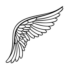 Detailed black and white vector illustration of a single bird wing isolated on white