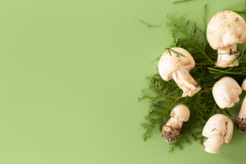 White champignons on green background