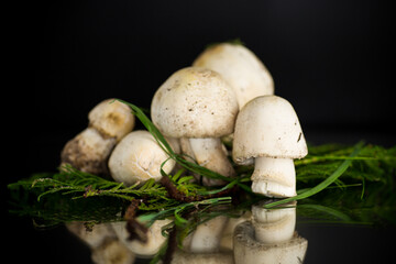 Fresh raw champignons isolated on black background
