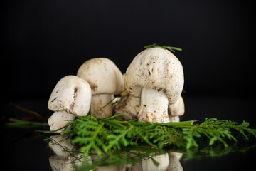 Seasonal natural champignon mushrooms on black background