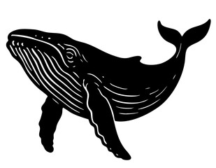 Whale