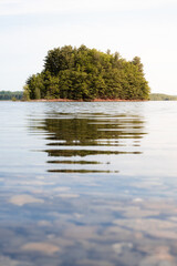 An island full of trees in Wachusett Reservoir in rural Massachusetts. The trees surrounding the reservoir help to filter the drinking water, removing pollutants and protecting the soil from erosion.