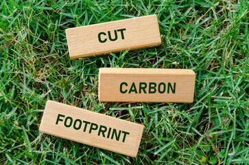 Cut Carbon Footprint text on wooden blocks, promoting eco-friendly choices to reduce personal...
