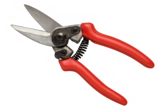 Sharp gardening secateurs with red handles and open blades isolated on transparent background, ready for pruning and trimming tasks