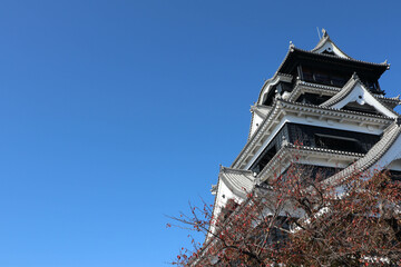 Kumamoto Castle under Clear Blue Sky, Japan