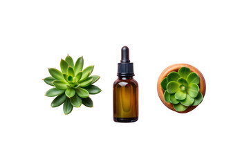 Obraz premium Amber dropper bottle centered between two green succulent plants viewed from above on white surface, isolated on a transparent background