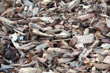 Rough wood mulch chips in shades of brown and tan cover the garden soil, providing moisture retention and weed control, with visible bark and splintered textures in a detailed close-up
