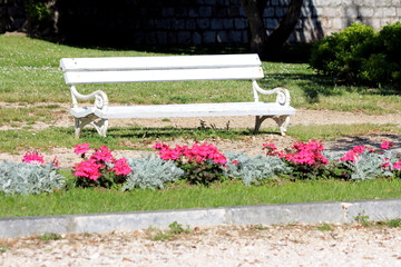 Classic white wooden park bench stands on a gravel path behind a border of blooming pink geraniums...