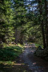 hiking path in the mountains of Vorarlberg Austria in Montafon in Gaschurn