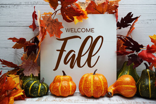 Welcome Fall text with pumkins and maple leaf decoration on wooden background
