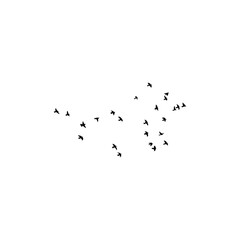 Birds flying silhouettes isolated on white background 