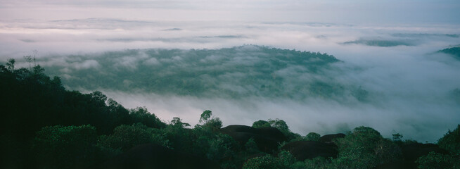 Reserve naturelle des Nouragues
