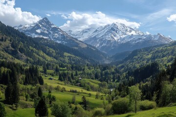 Naklejka premium Scenic valley between lush green forested hills leads to majestic snow-capped mountain range