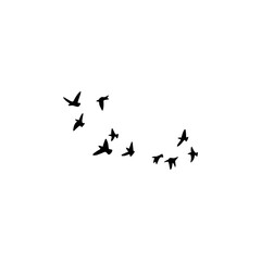"Elegant Birds in Flight Displayed on White Background"