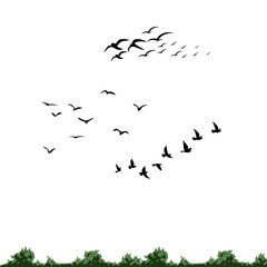 Minimal Flying Birds Icons in Simple Silhouette Style