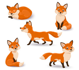  of cartoon foxes in diverse poses, sleeping and curled up, standing, walking, two seated foxes with playful looks.