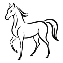 Obraz premium Elegant Arabian Horse Line Art Illustration A Graceful Silhouette for Equestrian Designs Logos and Creative Projects with a Classic Minimalist Style