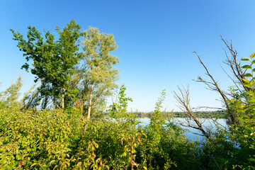 Cow Island nature reserve along the Marne river in Île-de-France Region. Précy-sur-Marne village