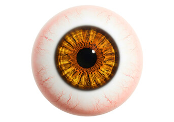 Extreme macro close up of a human brown iris with detailed texture and eyelashes isolated on transparent background