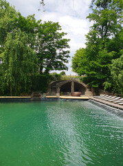 Summer outdoor swimming pool surrounded by fresh green grass and tall trees
