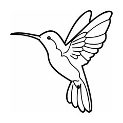 Black and White Hummingbird Vector Illustration Flying with Wings Spread