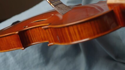 Skilled craftsman applying protective varnish to violin body, highlighting intricate woodworking...