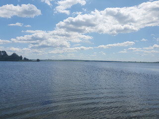 Clear blue lake with reeds and sandy shore against the backdrop of green forest under a clear summer sky.