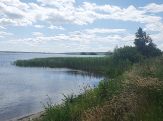 Clear blue lake with reeds and sandy shore against the backdrop of green forest under a clear summer sky.