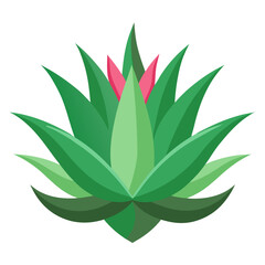 aloe plant isolated, aloe flower isolated