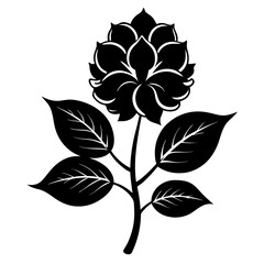 black and white flower