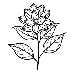 black and white flower