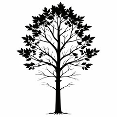 Obraz premium black and white tree, black and white flower