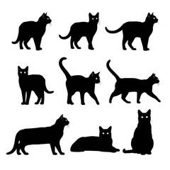 Beautiful and attractive collection of black cat silhouettes in various poses isolated on white background