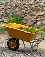 wheelbarrow with yellow flowers