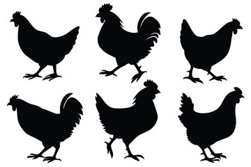 Chicken, hen, and rooster silhouette vector set – farm poultry animal icons collection