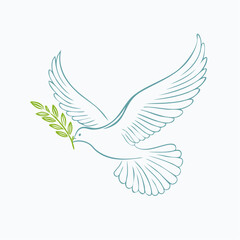 Obraz premium Flying dove of peace with open wings in vector style