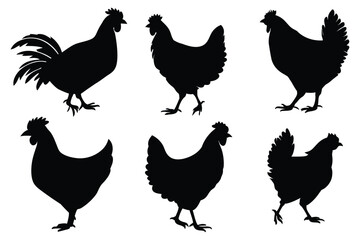 Chicken, hen, and rooster silhouette vector set – farm poultry animal icons collection