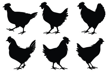 Chicken, hen, and rooster silhouette vector set – farm poultry animal icons collection